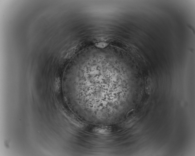 X0000100230563200806061412