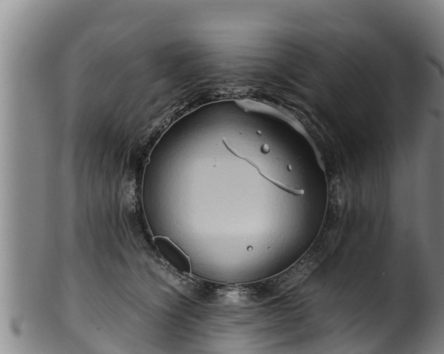 X0000100230564200806061412