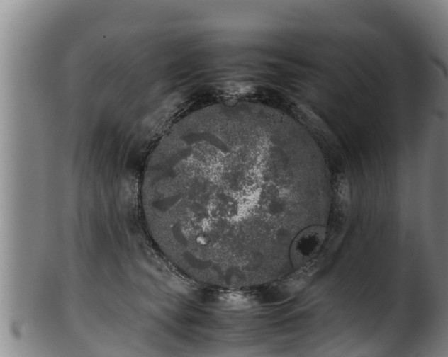 X0000100230565200806061412