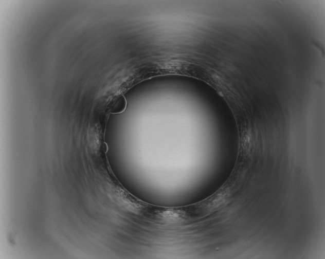 X0000100230566200806061412