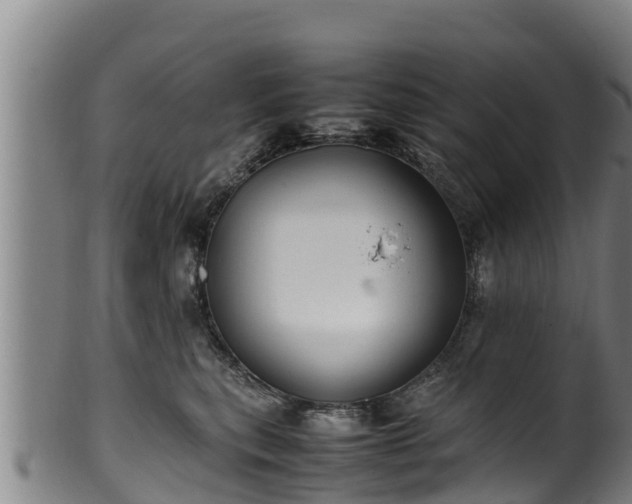 X0000100230567200806061412