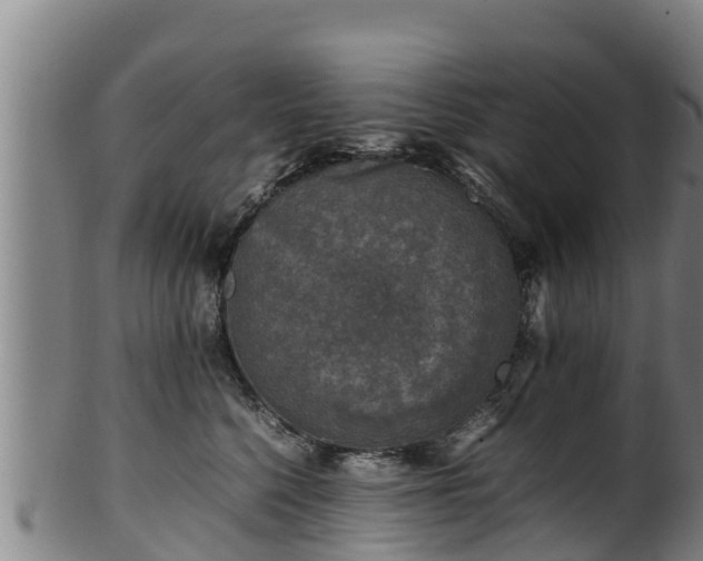 X0000100230568200806061412