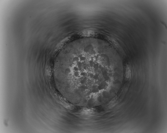 X0000100230569200806061412