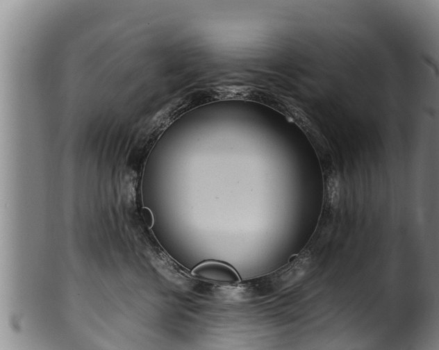 X0000100230570200806061412