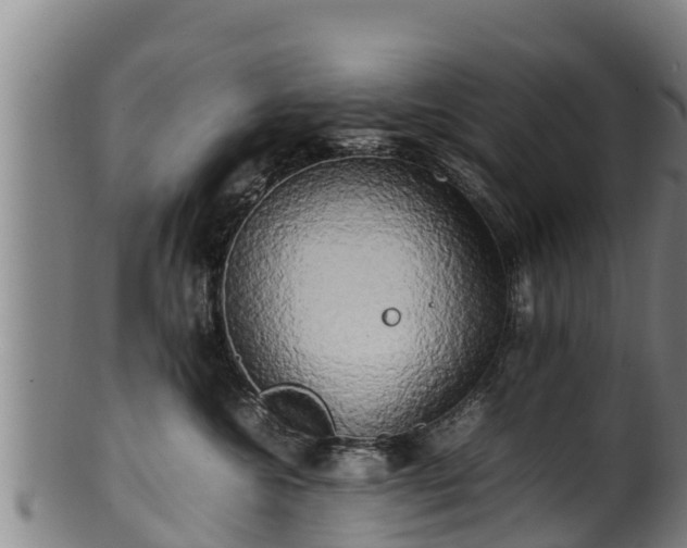 X0000100230572200806061412