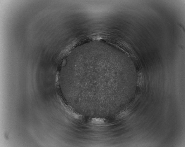 X0000100230573200806061412