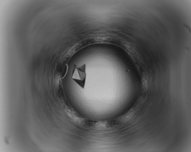 X0000100230574200806061412