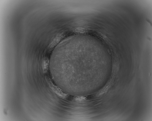 X0000100230576200806061412