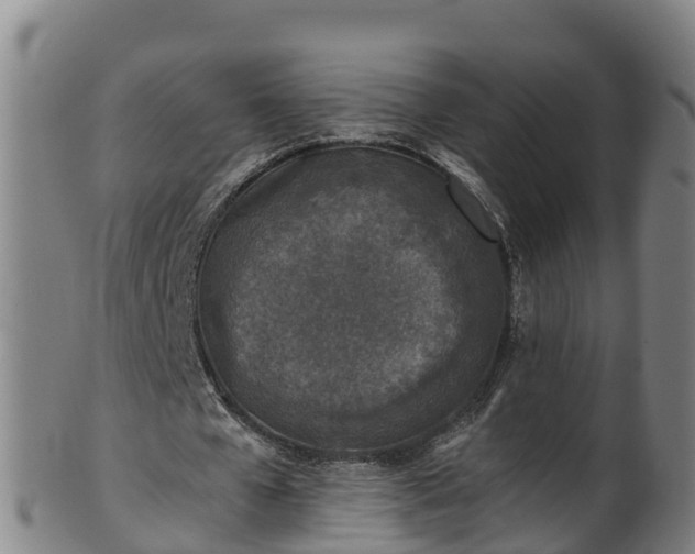 X0000100230577200806061411