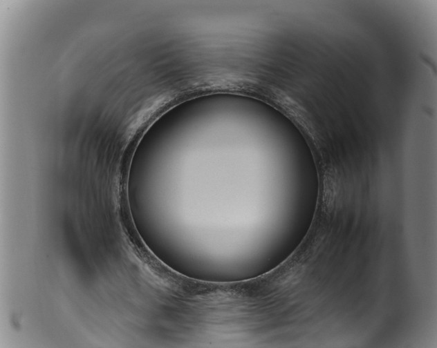 X0000100230578200806061411