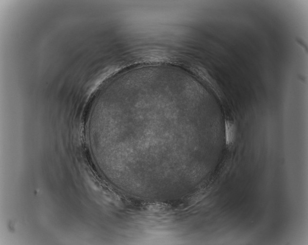 X0000100230579200806061411