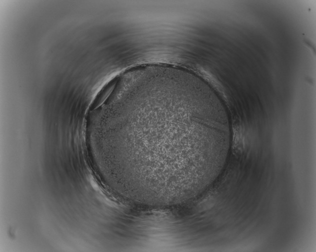 X0000100230580200806061411