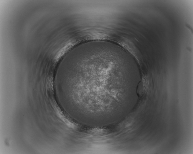 X0000100230581200806061411