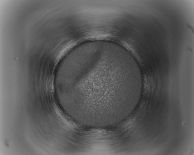 X0000100230582200806061411