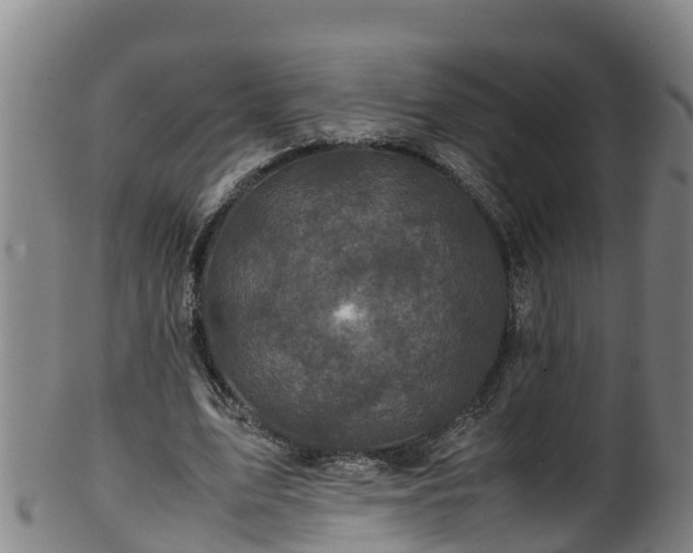 X0000100230583200806061411