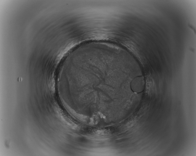 X0000100230584200806061411