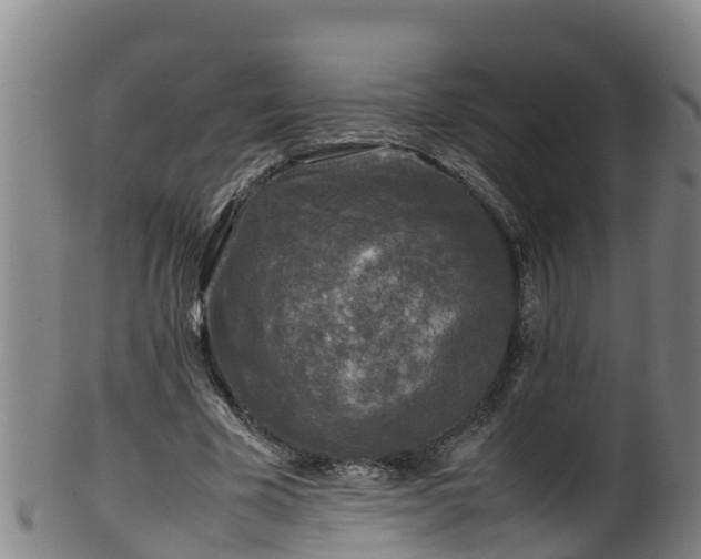 X0000100230585200806061411