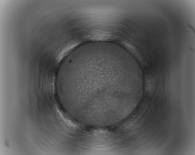 X0000100230586200806061411