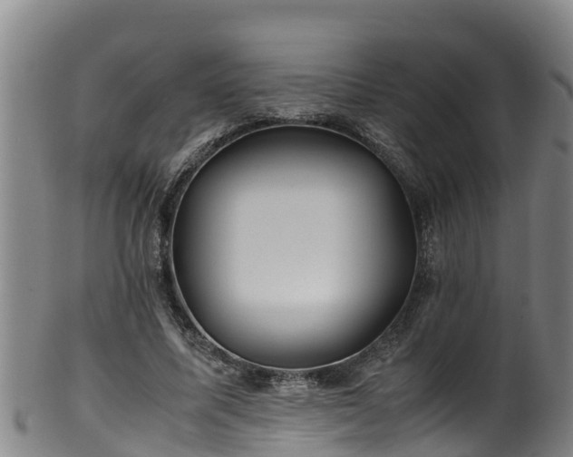 X0000100230587200806061411