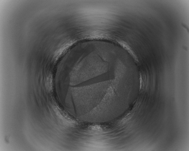 X0000100230588200806061411