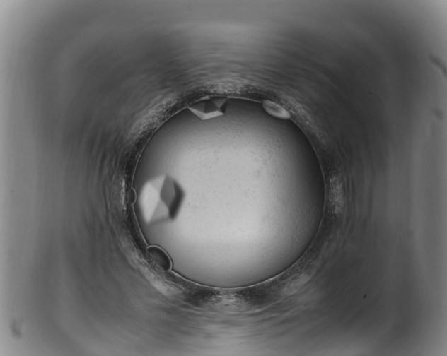 X0000100230589200806061411