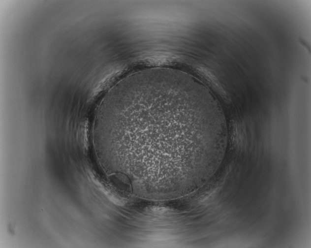 X0000100230590200806061411