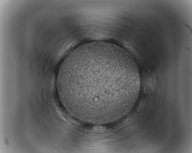 X0000100230591200806061411