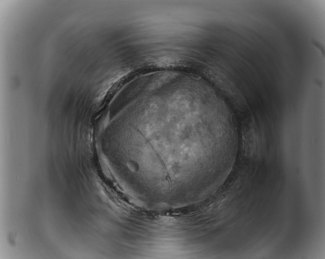 X0000100230592200806061411