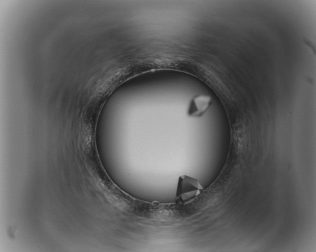 X0000100230593200806061411