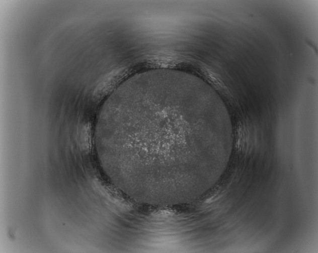 X0000100230594200806061411