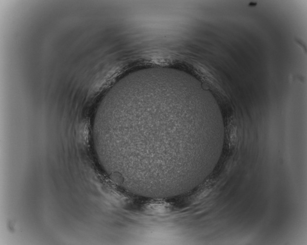 X0000100230595200806061411