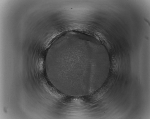 X0000100230596200806061411