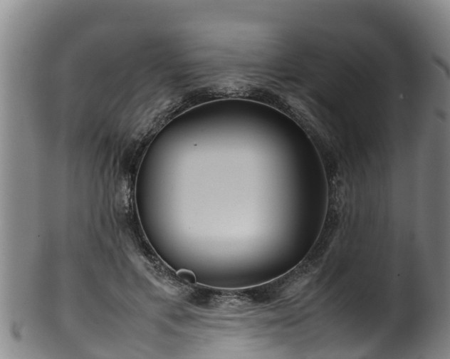 X0000100230597200806061411