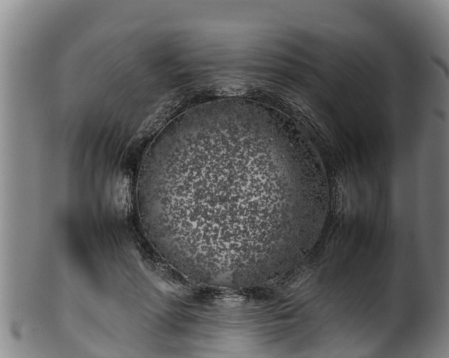 X0000100230598200806061411