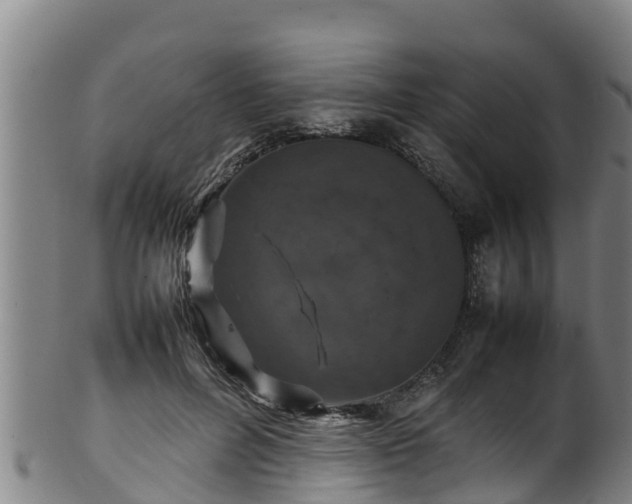 X0000100230600200806061411