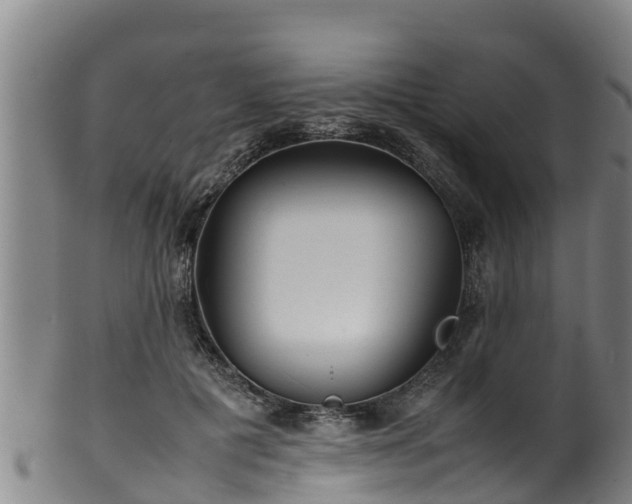 X0000100230601200806061411