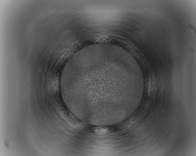 X0000100230602200806061411