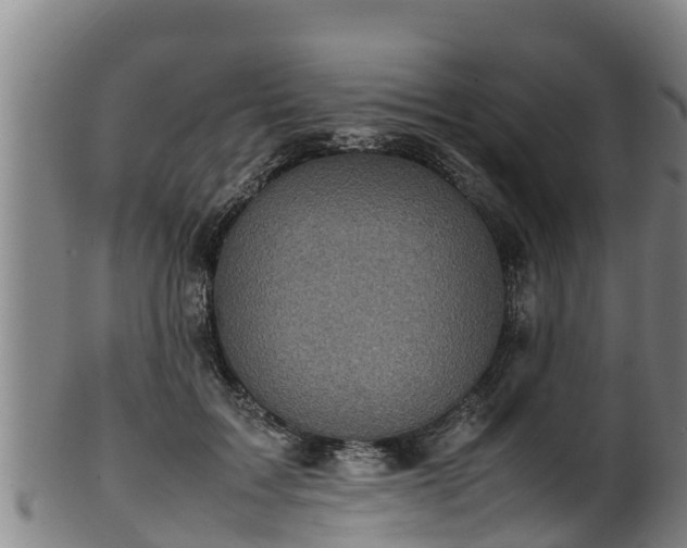 X0000100230603200806061411