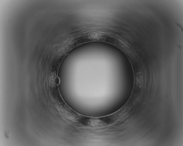 X0000100230605200806061411