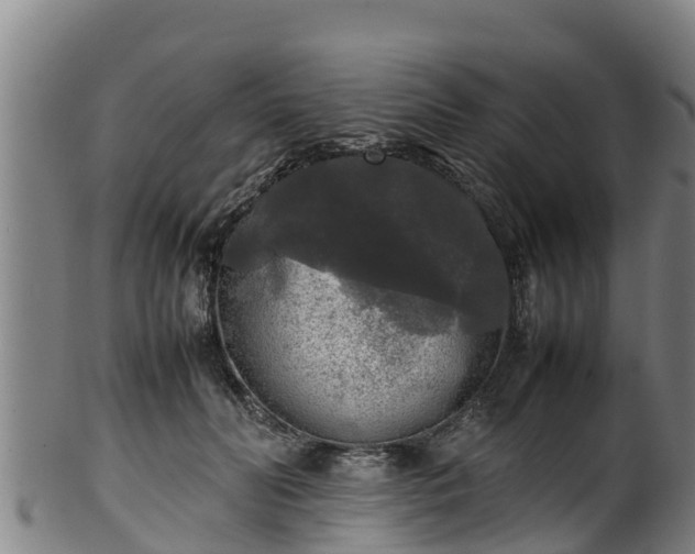 X0000100230606200806061411