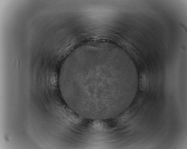 X0000100230608200806061411