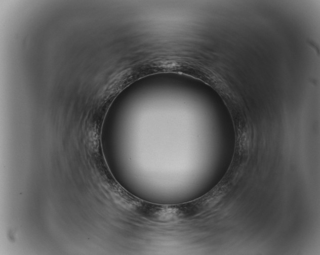 X0000100230609200806061411