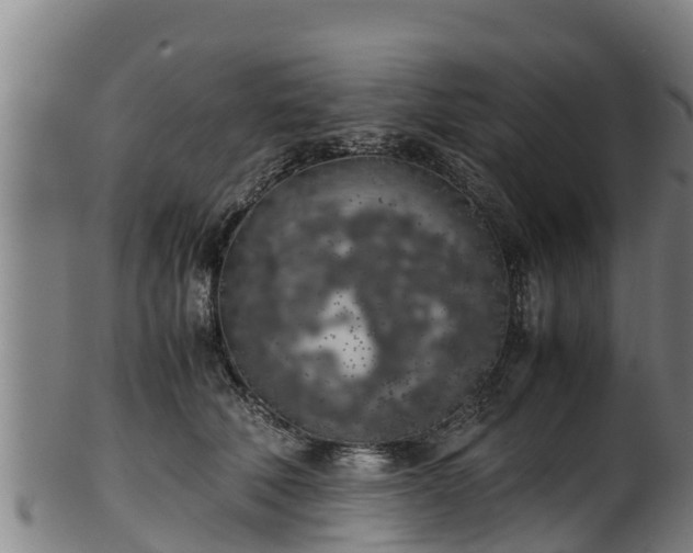 X0000100230610200806061411