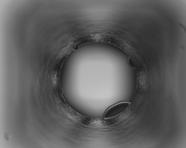 X0000100230611200806061411