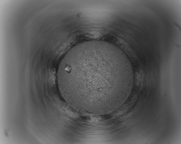 X0000100230612200806061411