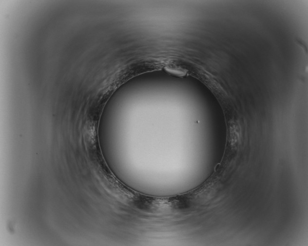 X0000100230613200806061411