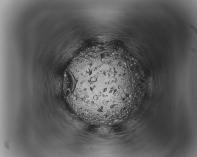 X0000100230615200806061411