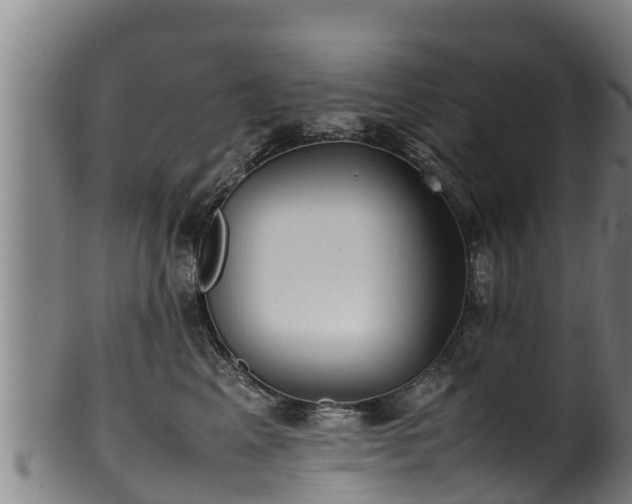 X0000100230617200806061411