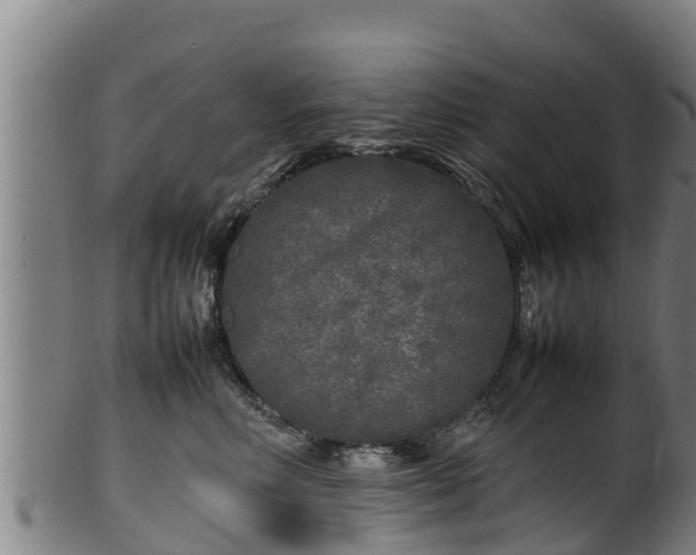 X0000100230618200806061411