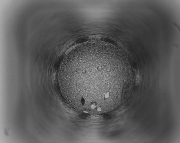 X0000100230619200806061411